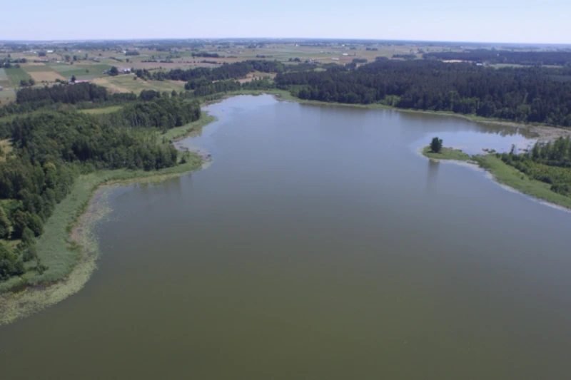 Jezioro Okrągłe — unikalny zbiornik wodny o regularnym kształcie w obszarze chronionym Natura 2000